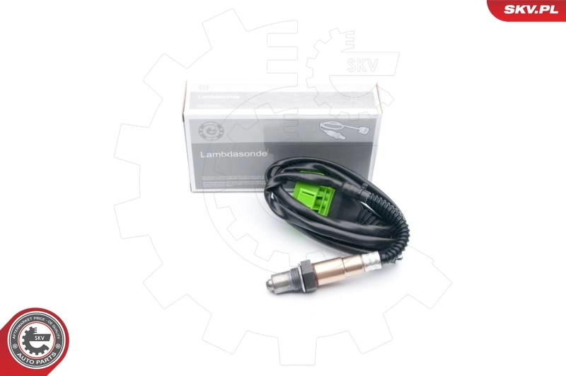 Oxygen Sensor
